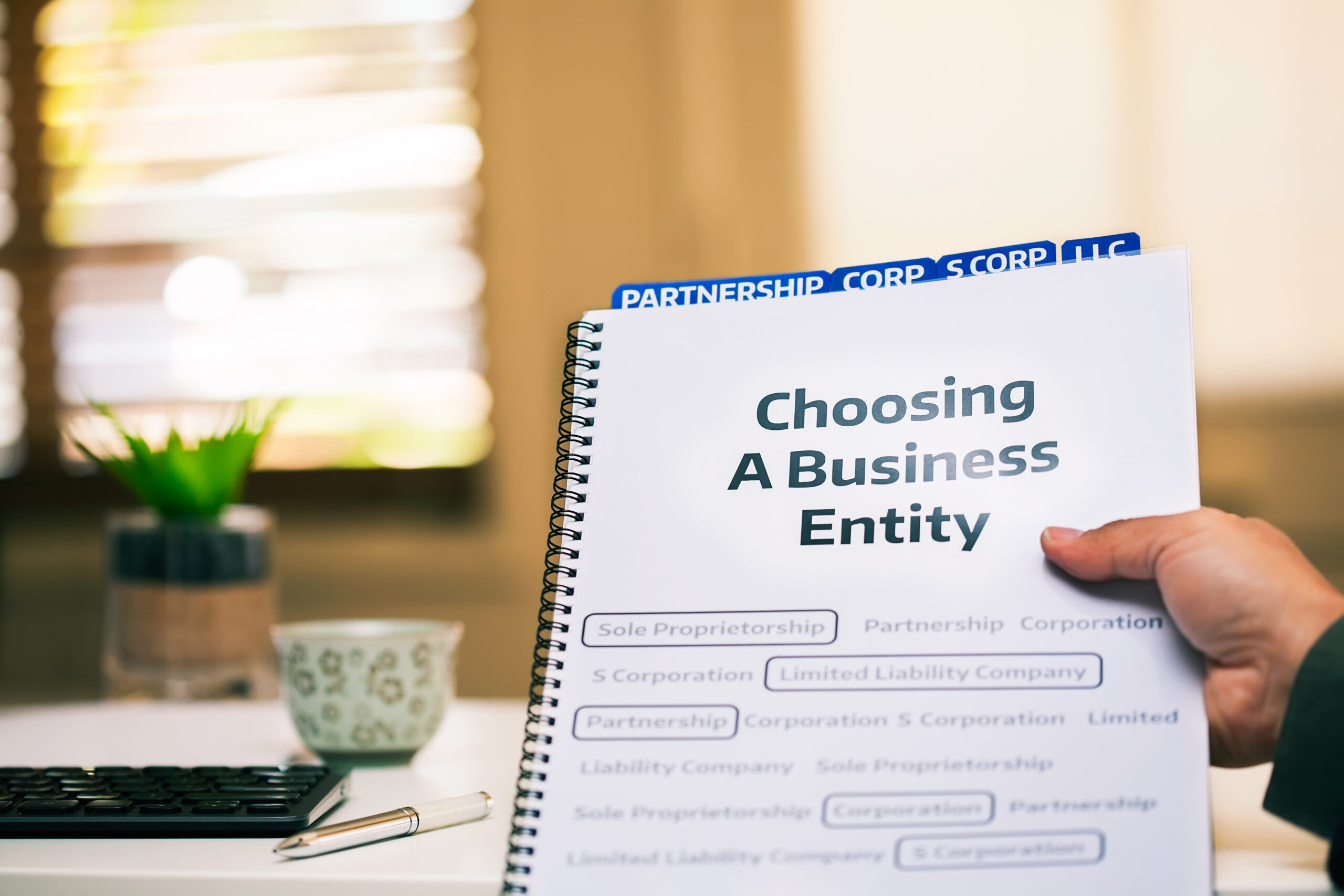 liff walsh simmons business entity formation llc A document on different types of business formations being read by a small business owner while sitting in office desk.